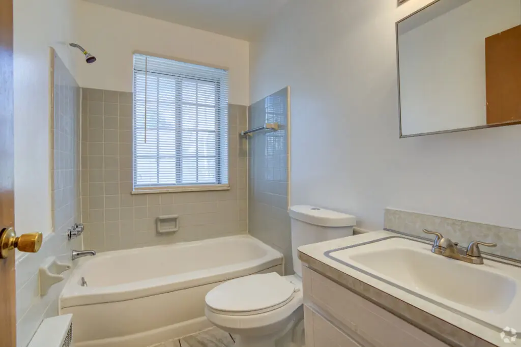 saf-cadieux-llc-detroit-mi-2br-1ba---660sf---bathroom - Copy
